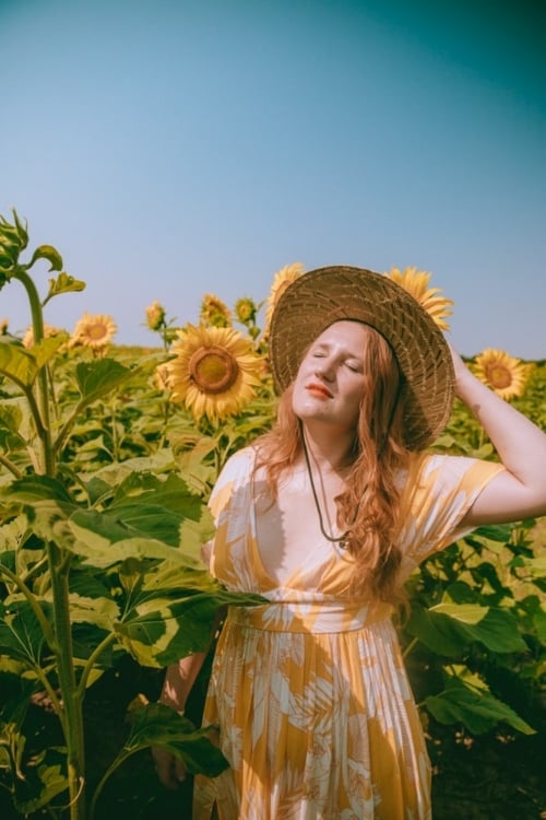 12 Stunning Wisconsin Sunflower Fields (Farms, U-pick & More!)