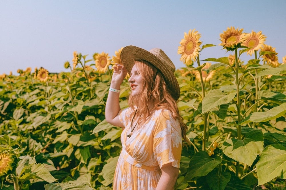 12 Stunning Wisconsin Sunflower Fields (Farms, Upick & More!)