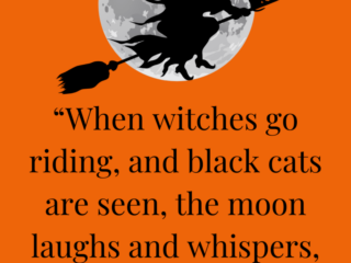 70+ Cute Halloween Messages & Caption Ideas For Spooky Season - Whimsy Soul