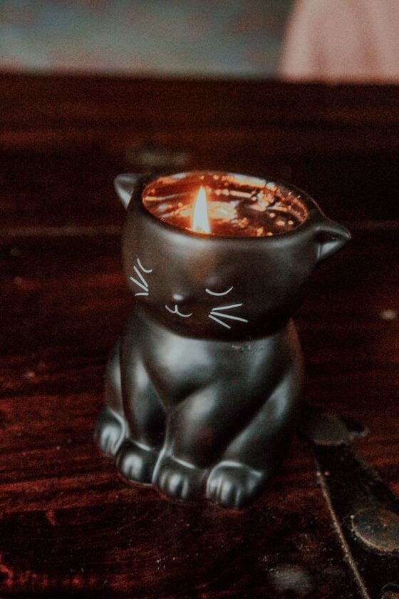 A Bewitching Black Cat Candle That Supports Kitten Rescue