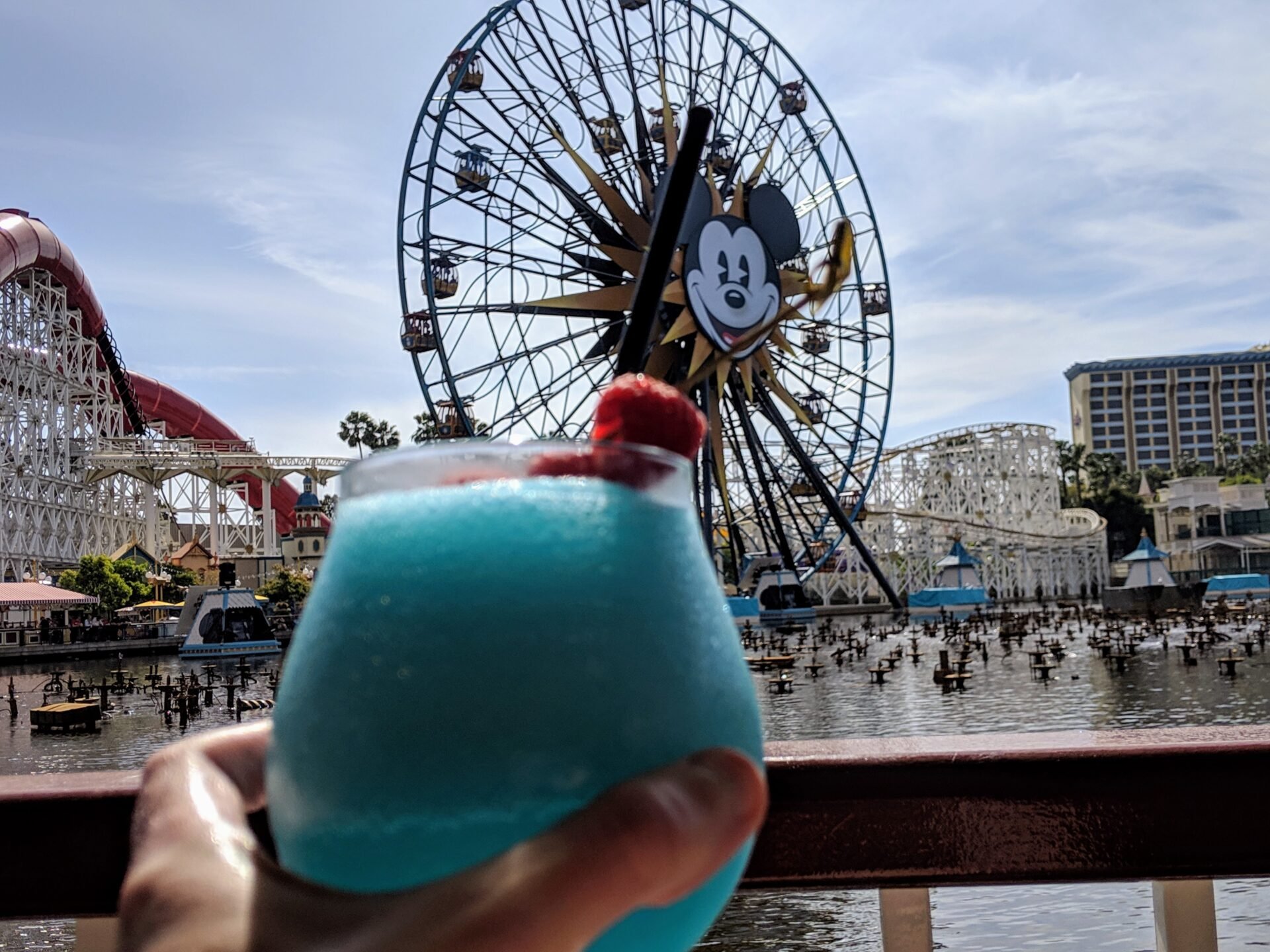 Complete Guide 20+ Places To Drink At Disneyland & California