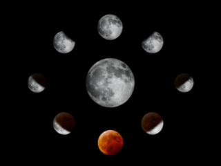 Does your period Align With A Red Moon Cycle or a White Moon Cycle? - Small  Ripples