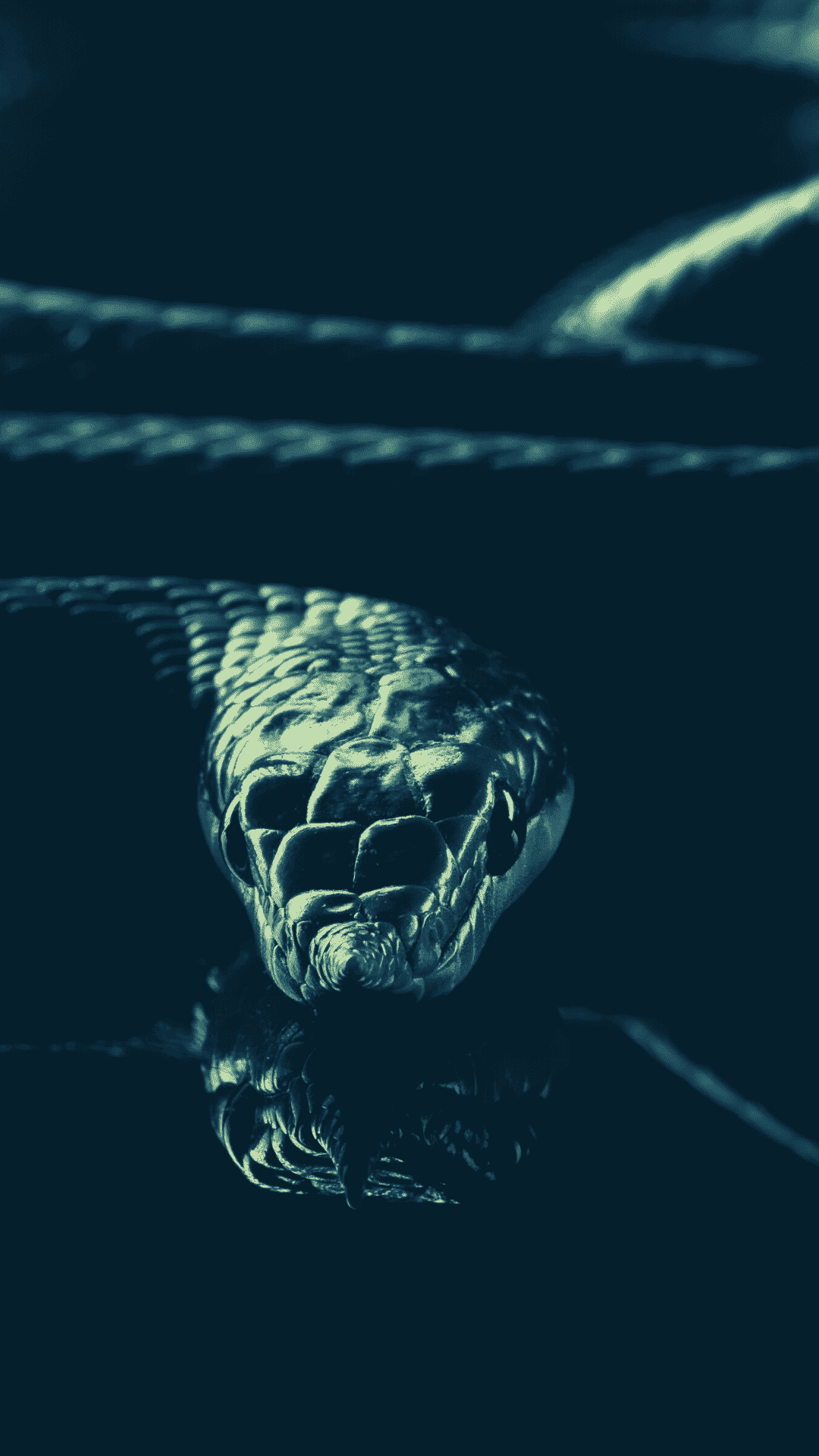 slytherin wallpaper