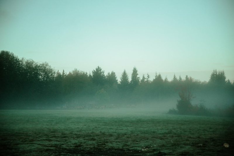 Forks Twilight Guide 12+ Movie Filming Locations For A Self Guided Tour!