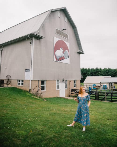 23 Best Wisconsin Wineries For Your Wine Tasting Weekend