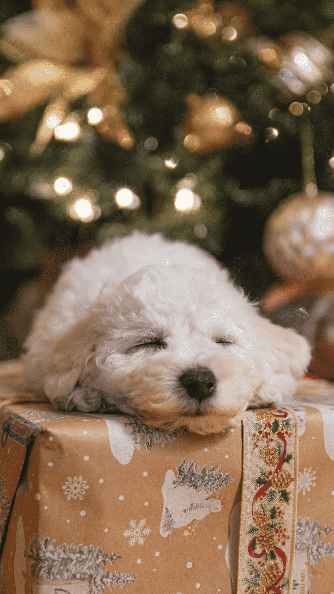 Cute Christmas Wallpapers