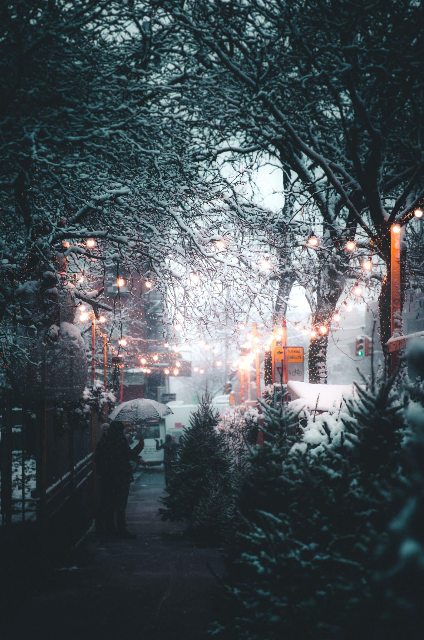 Free: Winter snow aesthetic iPhone wallpaper