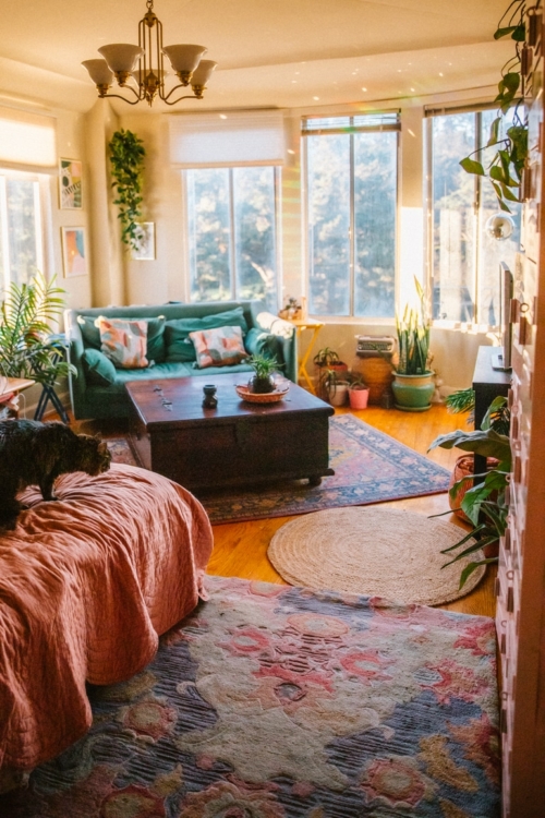 Rugs USA Reviews Pros & Cons After 7 Years Of The Rugs In My Apartment