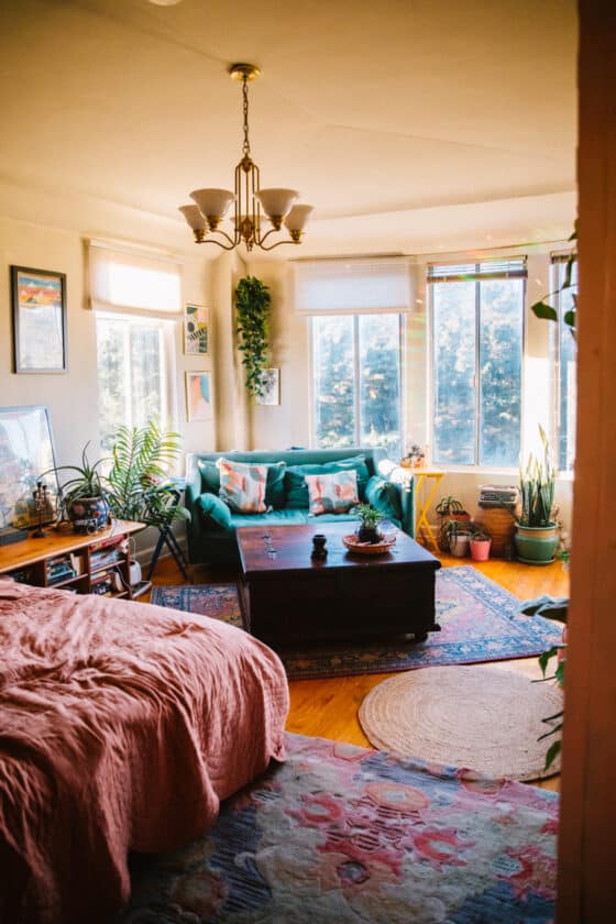 Rugs USA Reviews Pros & Cons After 7 Years Of The Rugs In My Apartment