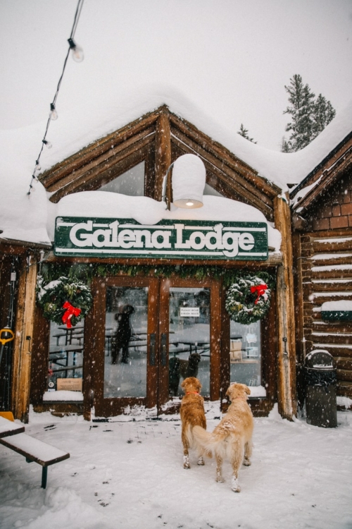 Snowshoeing Sun Valley Our NarniaLike Hike At Galena Lodge