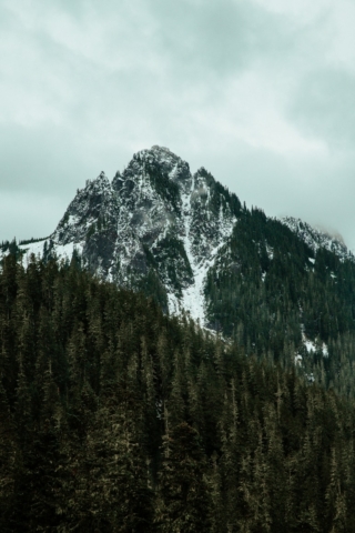 One Day In Mount Rainier Itinerary: 12 Best Hikes, Photo Spots & Things ...