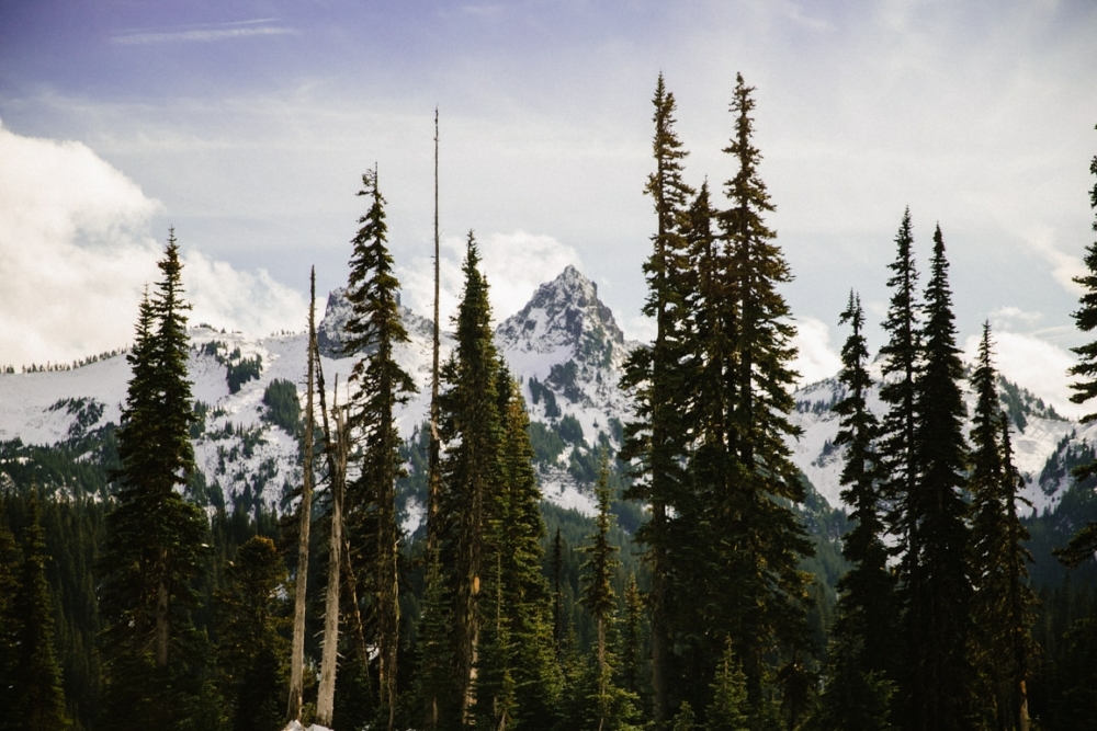 One Day In Mount Rainier Itinerary: 12 Best Hikes, Photo Spots & Things ...