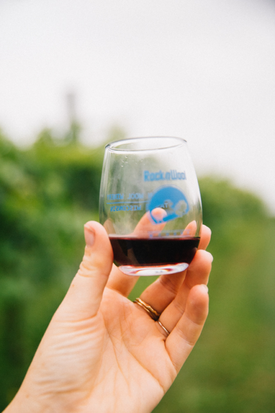 23 Best Wisconsin Wineries For Your Wine Tasting Weekend