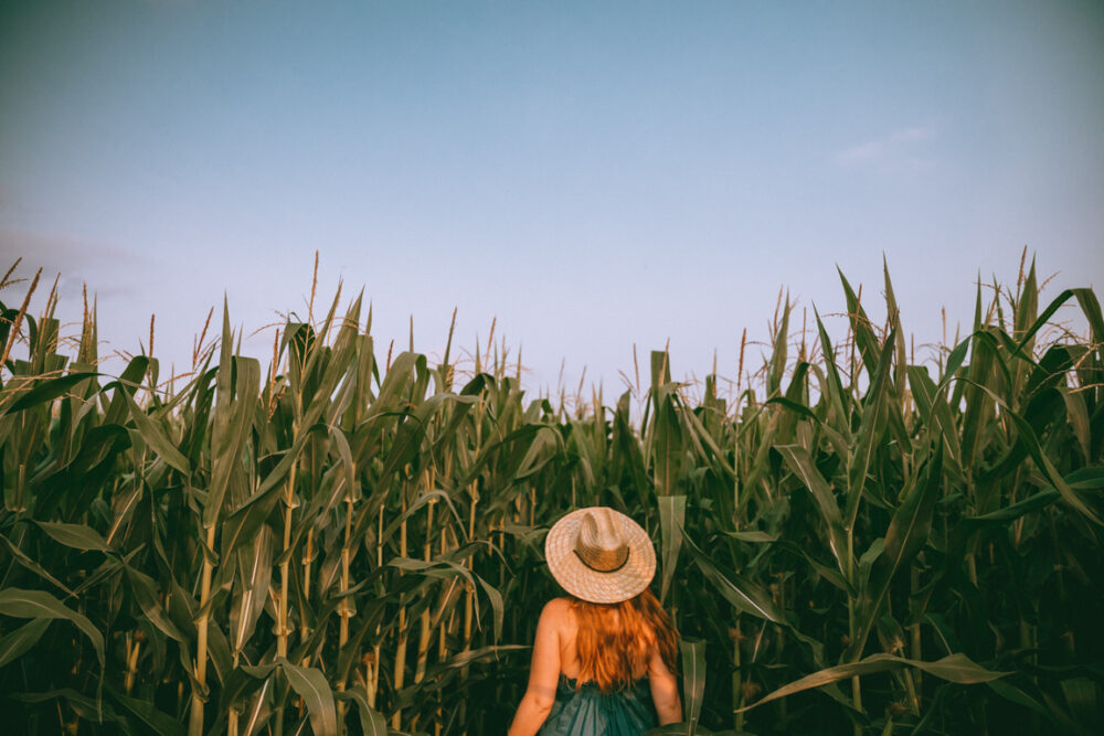 30 Madison WI Photo Spots Best Murals, Cafes, Lake Views & More!