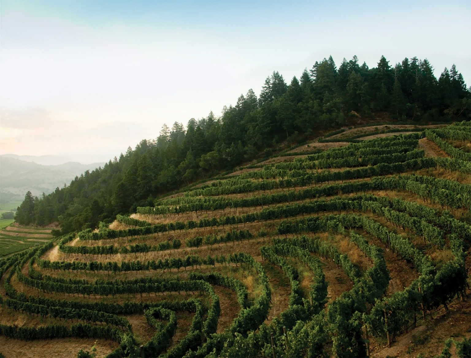 20 Most Beautiful Wineries in Napa Valley Scenic Views, Castles