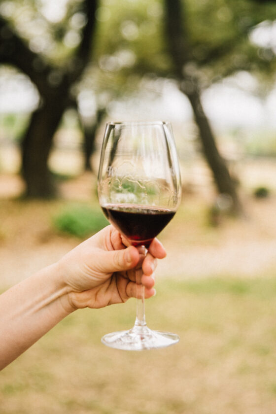 Ultimate Fredericksburg Weekend Getaway: Best Texas Wineries + Itinerary