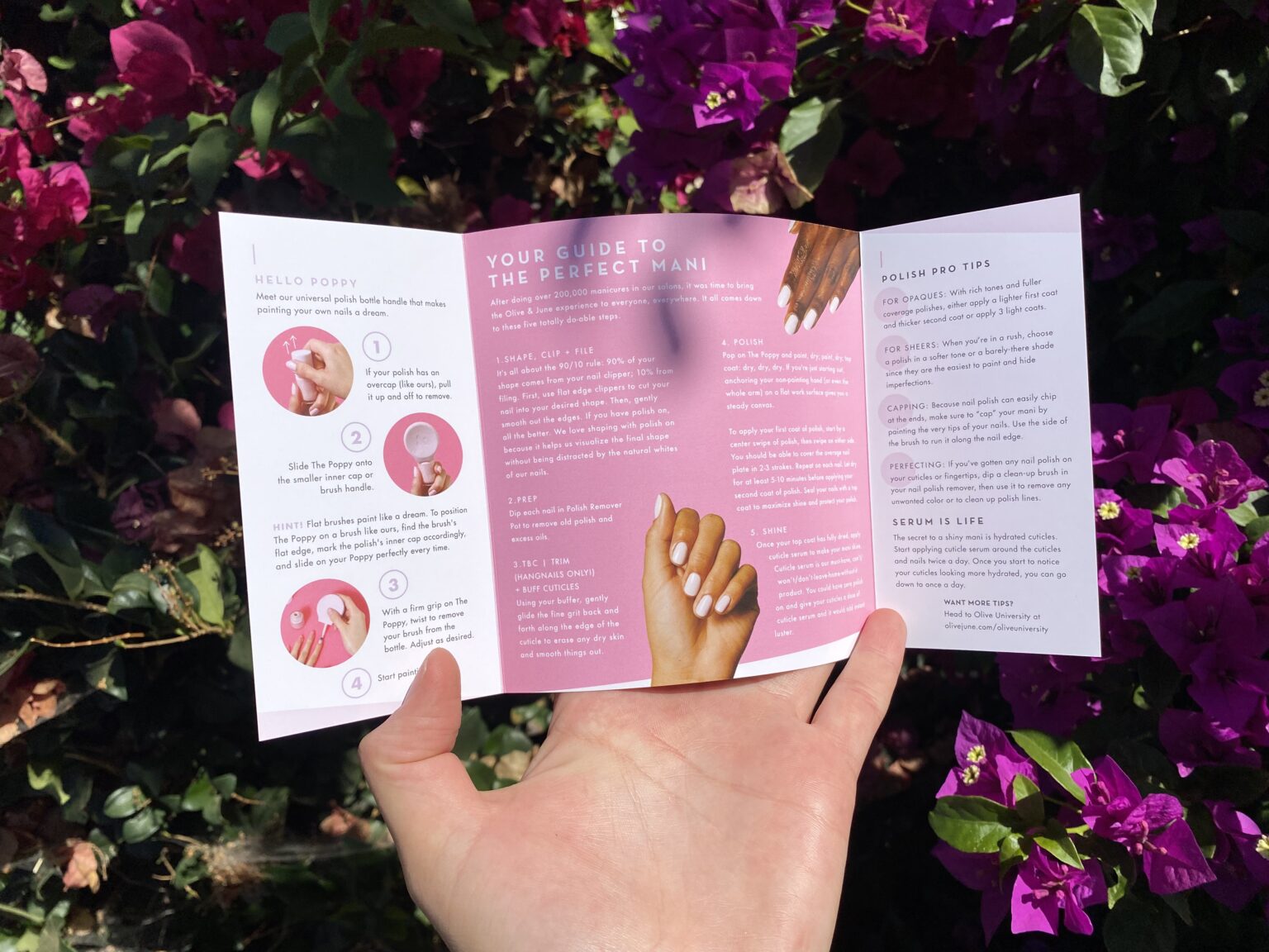 Olive and June Review Is It Worth The Hype & How Long Does It Last?