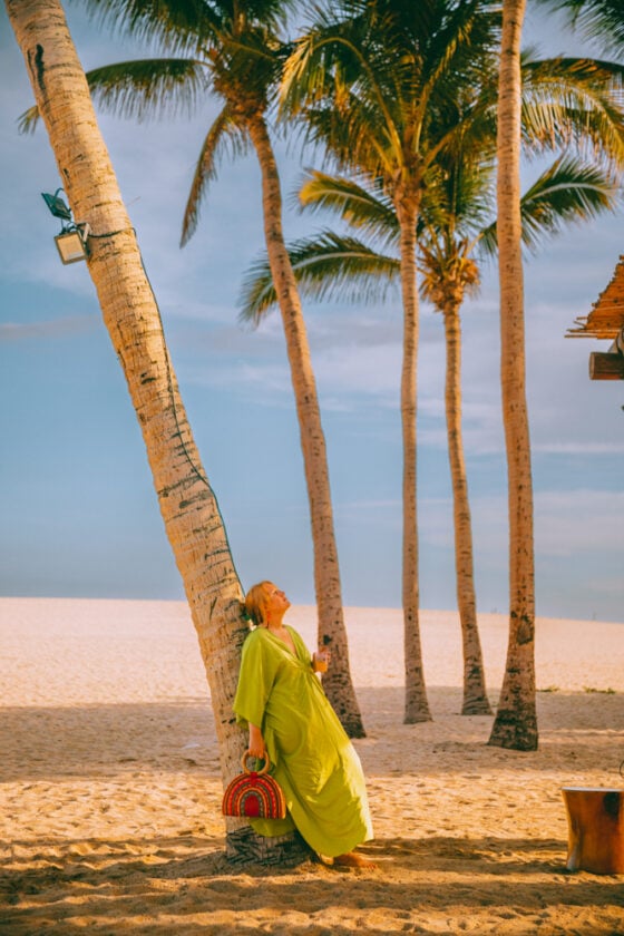 Paradisus Los Cabos Review 14 Pros & Cons Of This AllInclusive Mexico