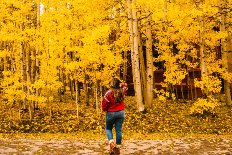 14 Spots To Find Stunning Lake Tahoe & Hope Valley Fall Colors This Autumn