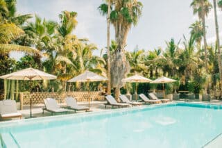 Sleep Above The Palm Trees: Inside ACRE Resort Cabo Treehouse Hotel