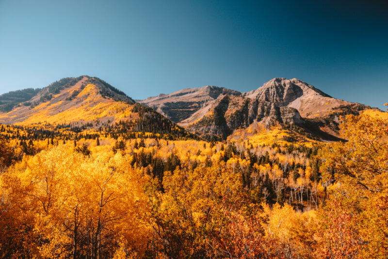 Utah Fall Colors: 14 Insanely Beautiful Places To Find Fall Foliage