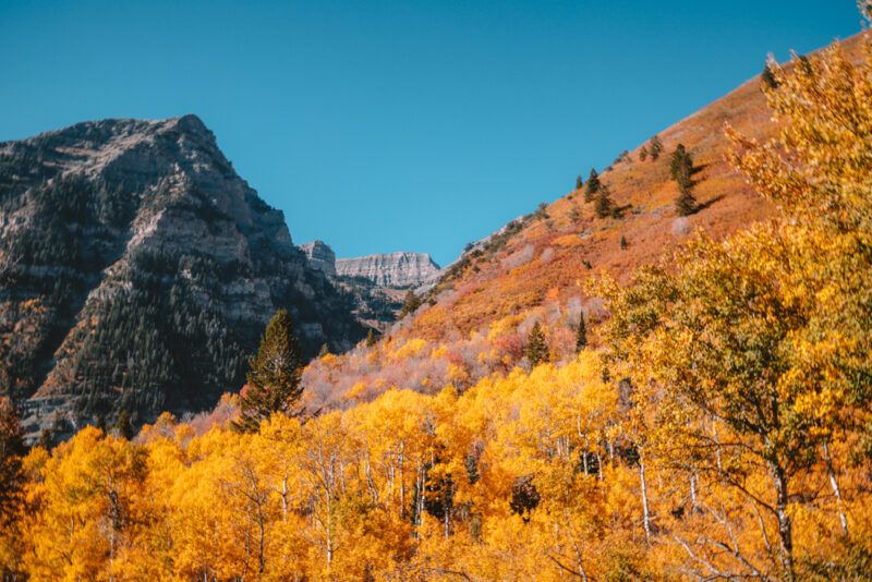 Utah Fall Colors: 14 Insanely Beautiful Places To Find Fall Foliage