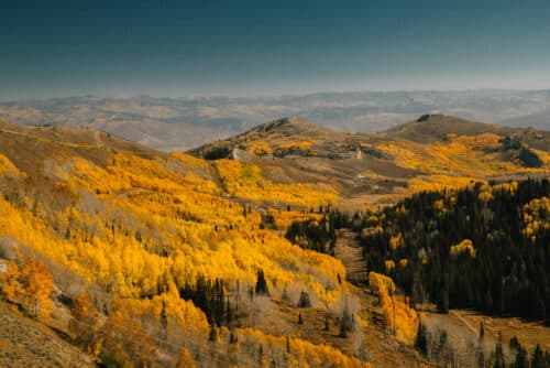 Utah Fall Colors: 14 Insanely Beautiful Places To Find Fall Foliage