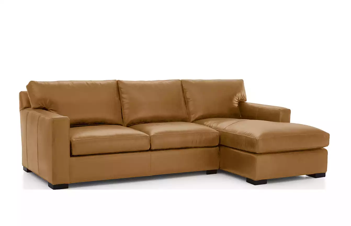 Axis Leather 2-Piece Sectional