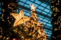 Why Your Christmas Decorations Are Witchy (Yes, Even The Mistletoe)