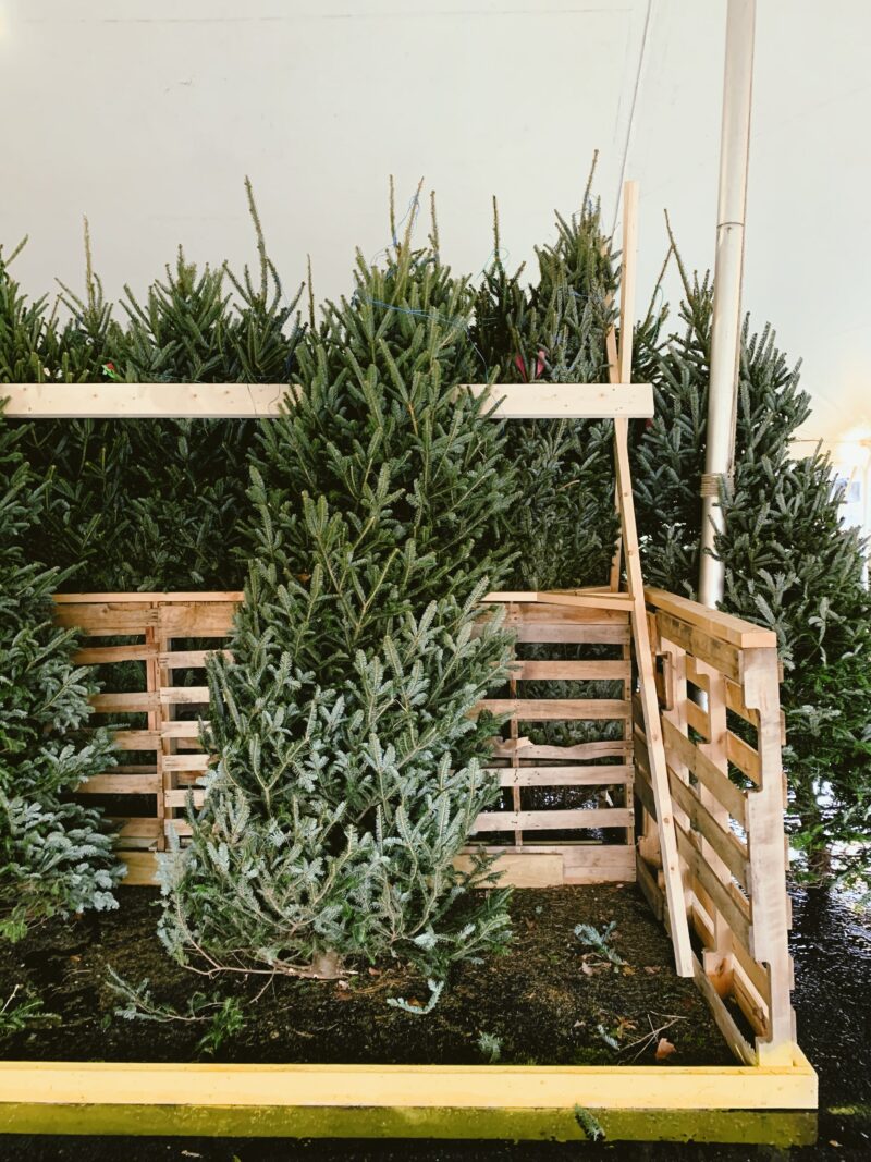 Why Your Christmas Decorations Are Witchy (Yes, Even The Mistletoe)