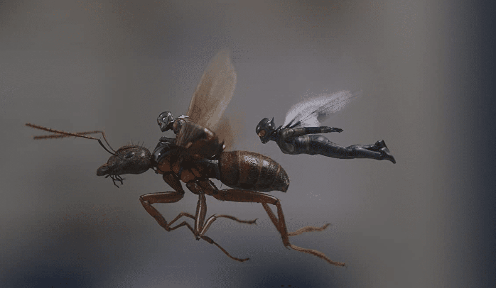 Ant-Man and the Wasp: Quantumania' Review - IMDb