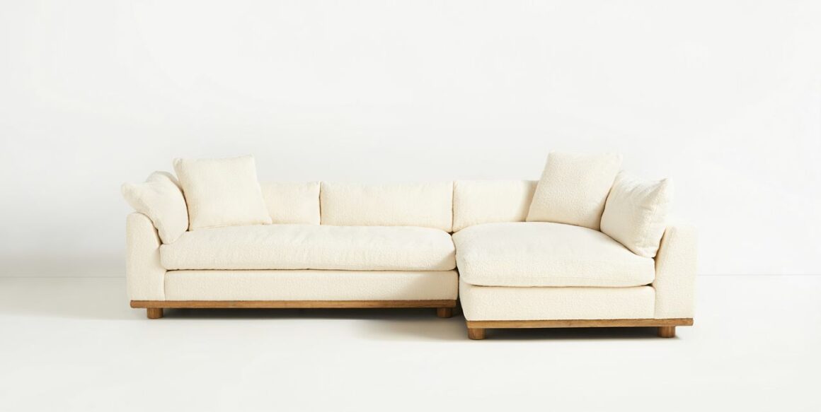 12 Best Couches For Cat Owners (Scratch Proof Yet Chic!)