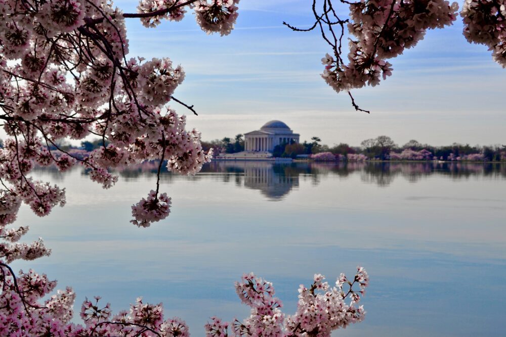 15 Marvelous Places In USA To Visit In March For Spring Break