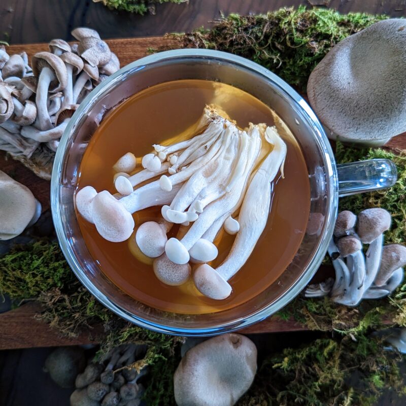 Spore Me Another Mushroom Mocktail