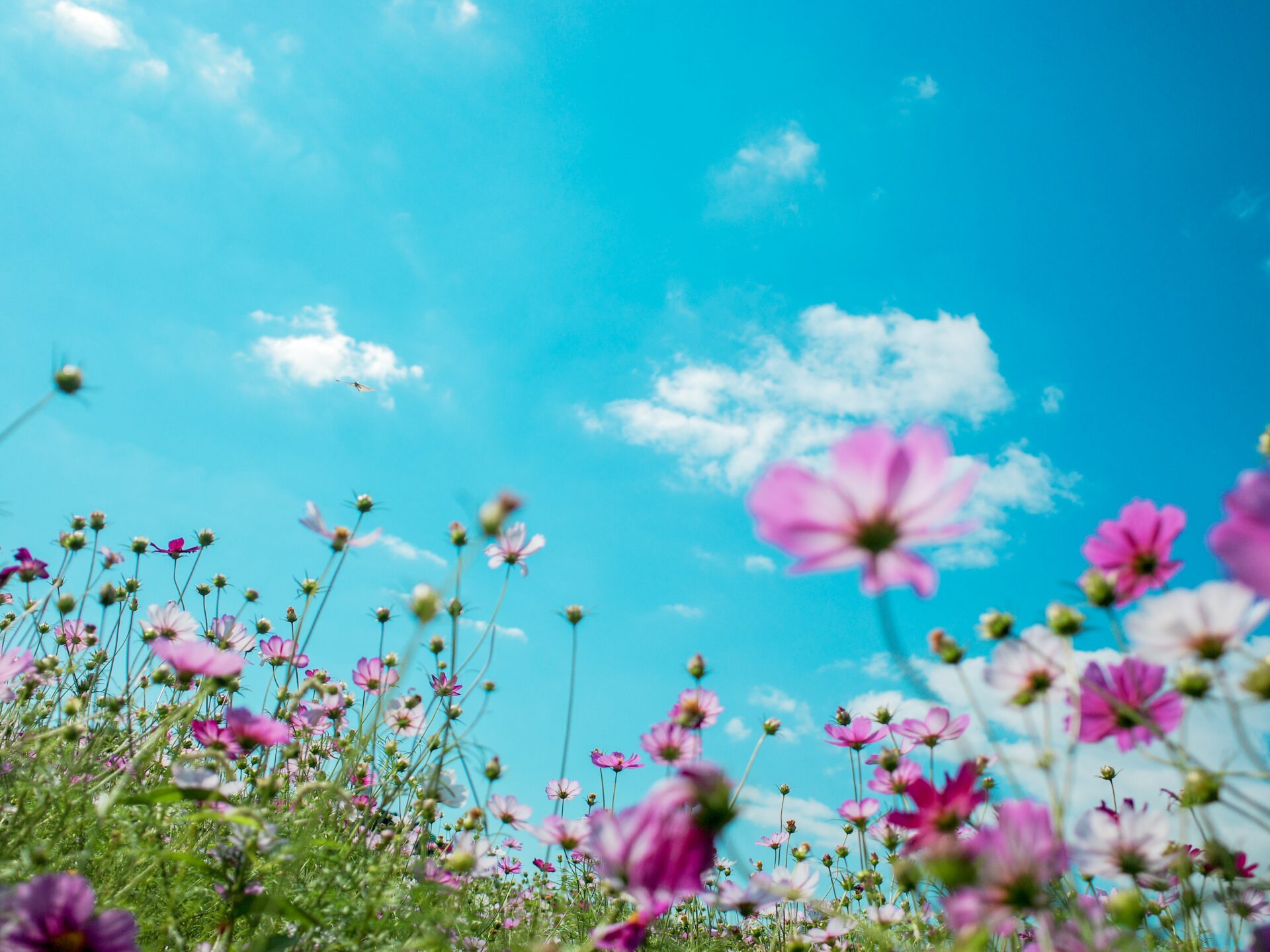 What To Do During Moon Phases: How To Use Moon Rituals For Self Care