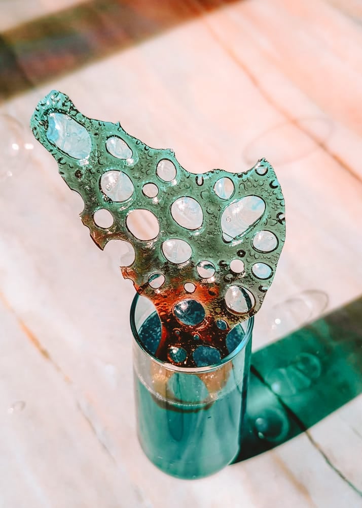 Go Under the Sea With These Little Mermaid Crafts & Recipes! - Inside the  Magic