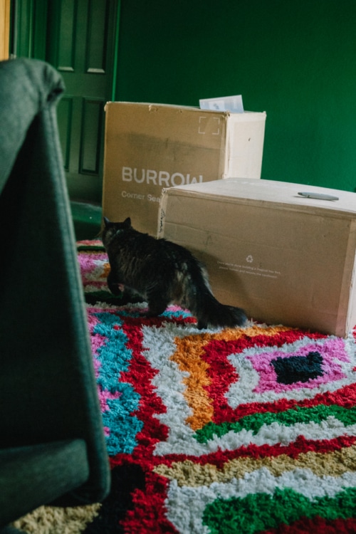 Burrow Couch Review 5 Pros & Cons After 30 Days With My Indoor