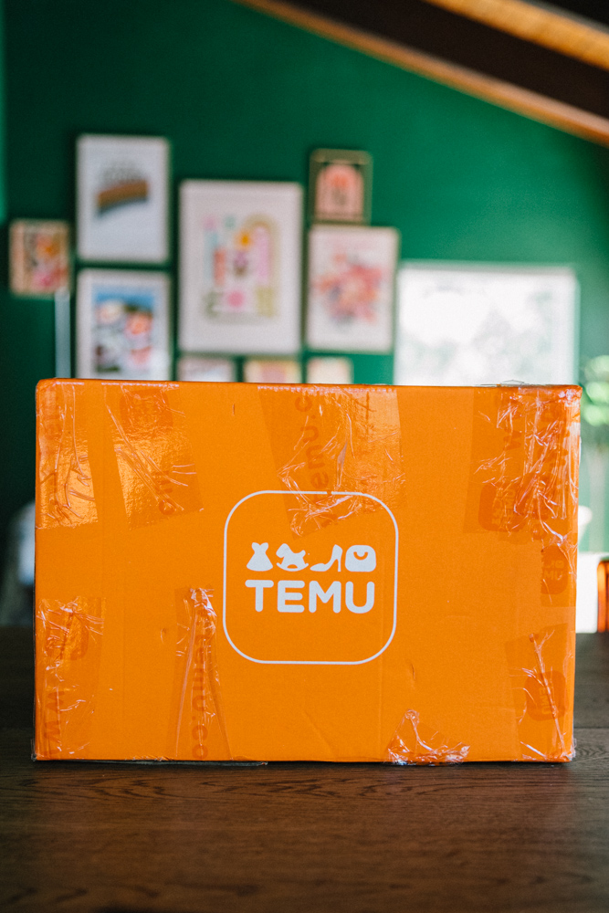 Temu Review: I Spent $170 So You Don't Have To (Honest Review!)