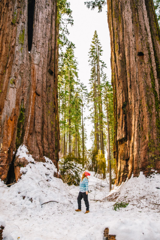 25 Top Things To Do in Calaveras County, CA (Arnold + Murphys)