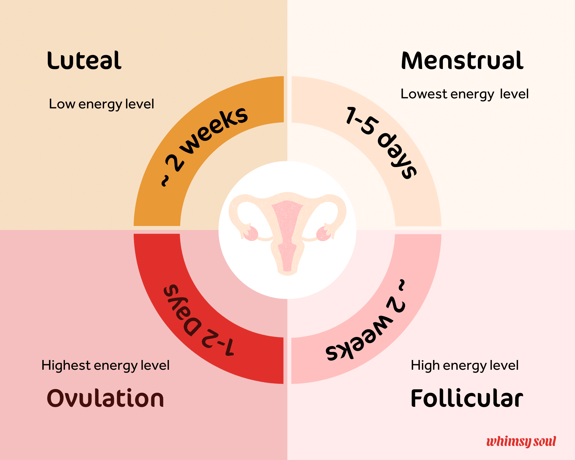 How To Live in Sync With Your Menstrual Cycle: Luteal Phase — Oh Baby