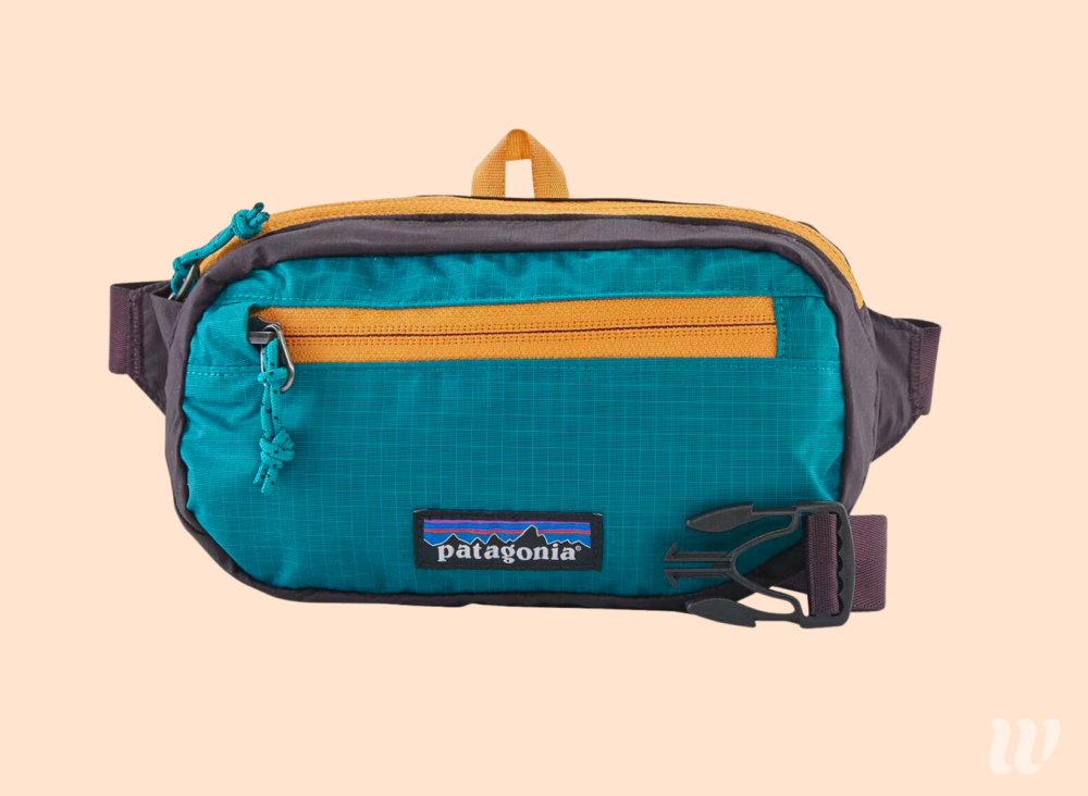 11 Best Travel Fanny Packs That Are Actually Stylish