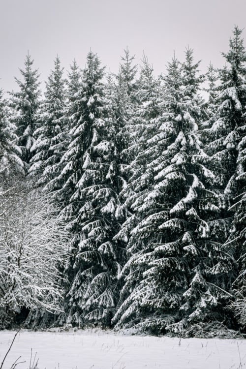 Free: Winter snow aesthetic iPhone wallpaper