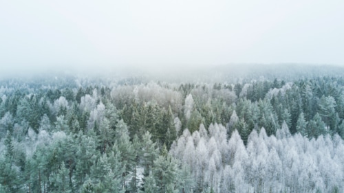 75+ FREE Aesthetic Winter Wallpapers For A Cool Phone (Figuratively)