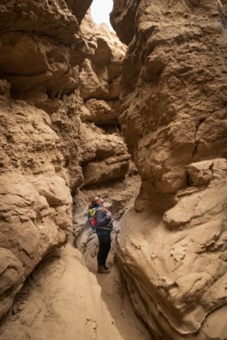 13 Secret Things To Do in Borrego Springs (Hikes, Eats, & Stargazing!)