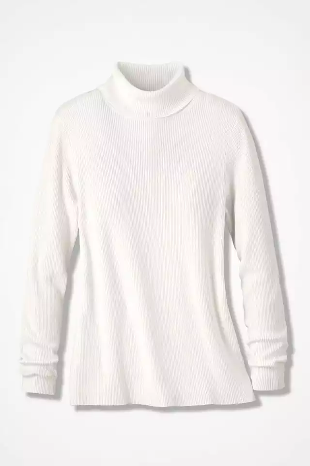Coldwater Creek Ribbed Turtleneck Sweater