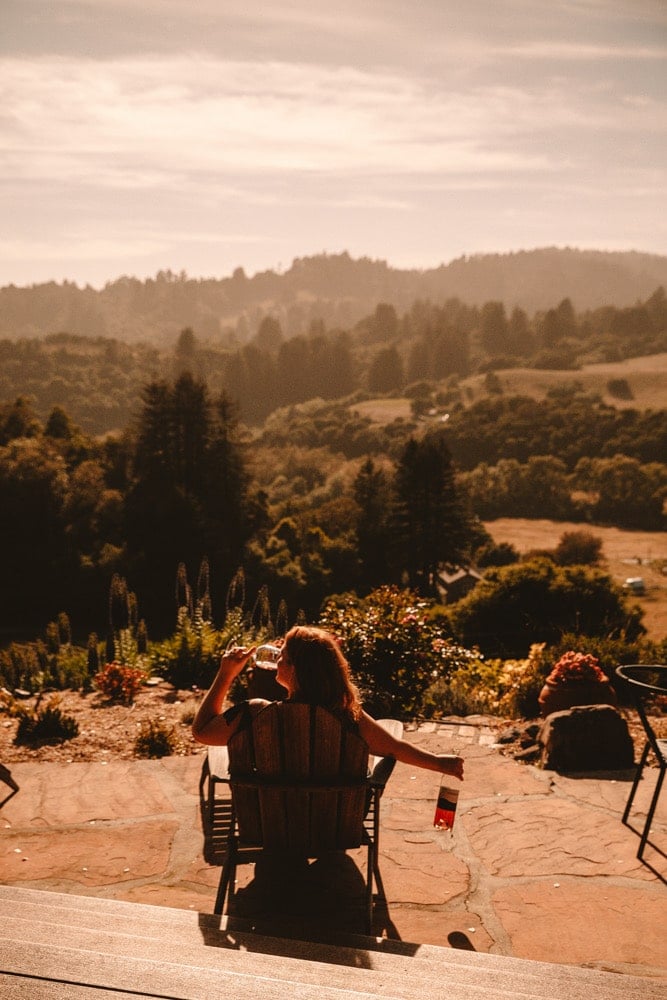 Whimsy Soul - Santa Cruz Wine Mountains (101 of 1).jpg