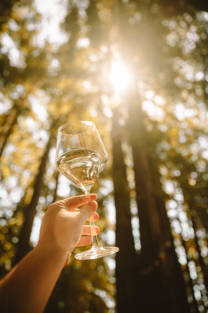 Whimsy Soul - Santa Cruz Wine Mountains (102 of 1)