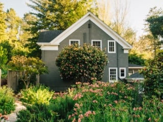 Whimsy Soul - Santa Cruz Wine Mountains (103 of 1).jpg