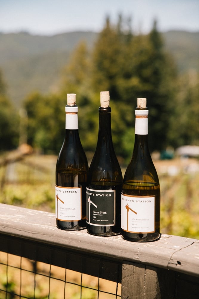 Whimsy Soul - Santa Cruz Wine Mountains (121 of 1)