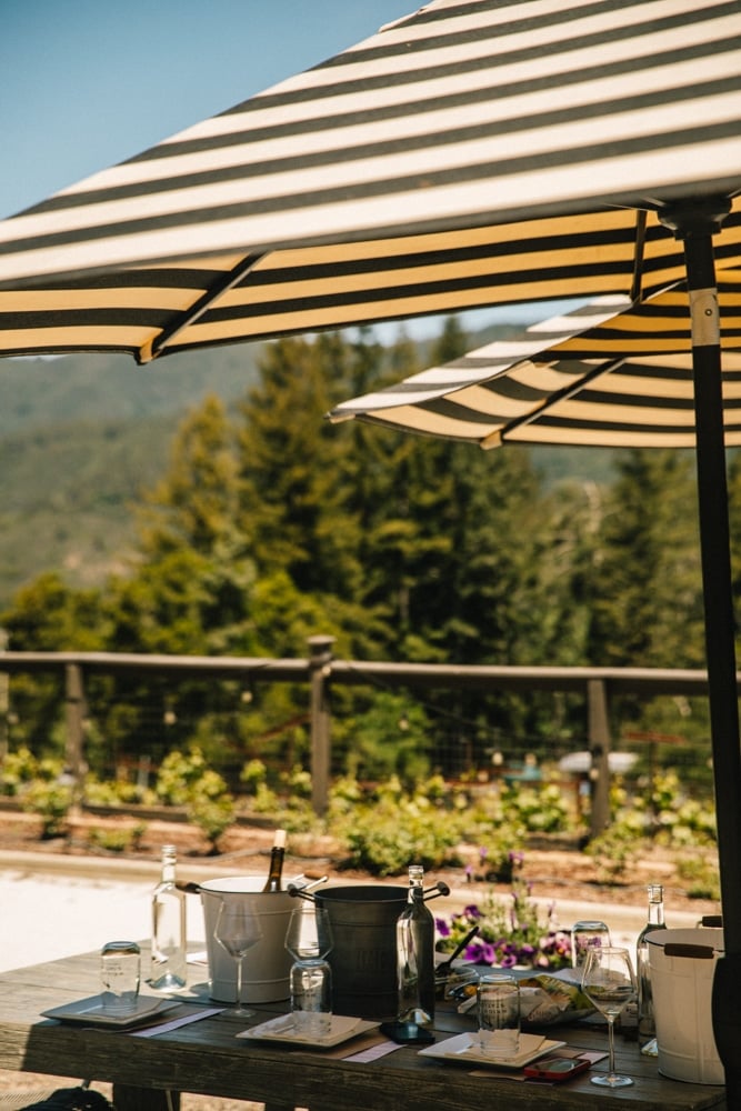 Whimsy Soul - Santa Cruz Wine Mountains (122 of 1)